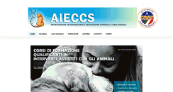 Desktop Screenshot of aieccs.org